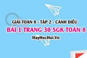 Bài 1 trang 30 Toán 8 Tập 2 Cánh Diều